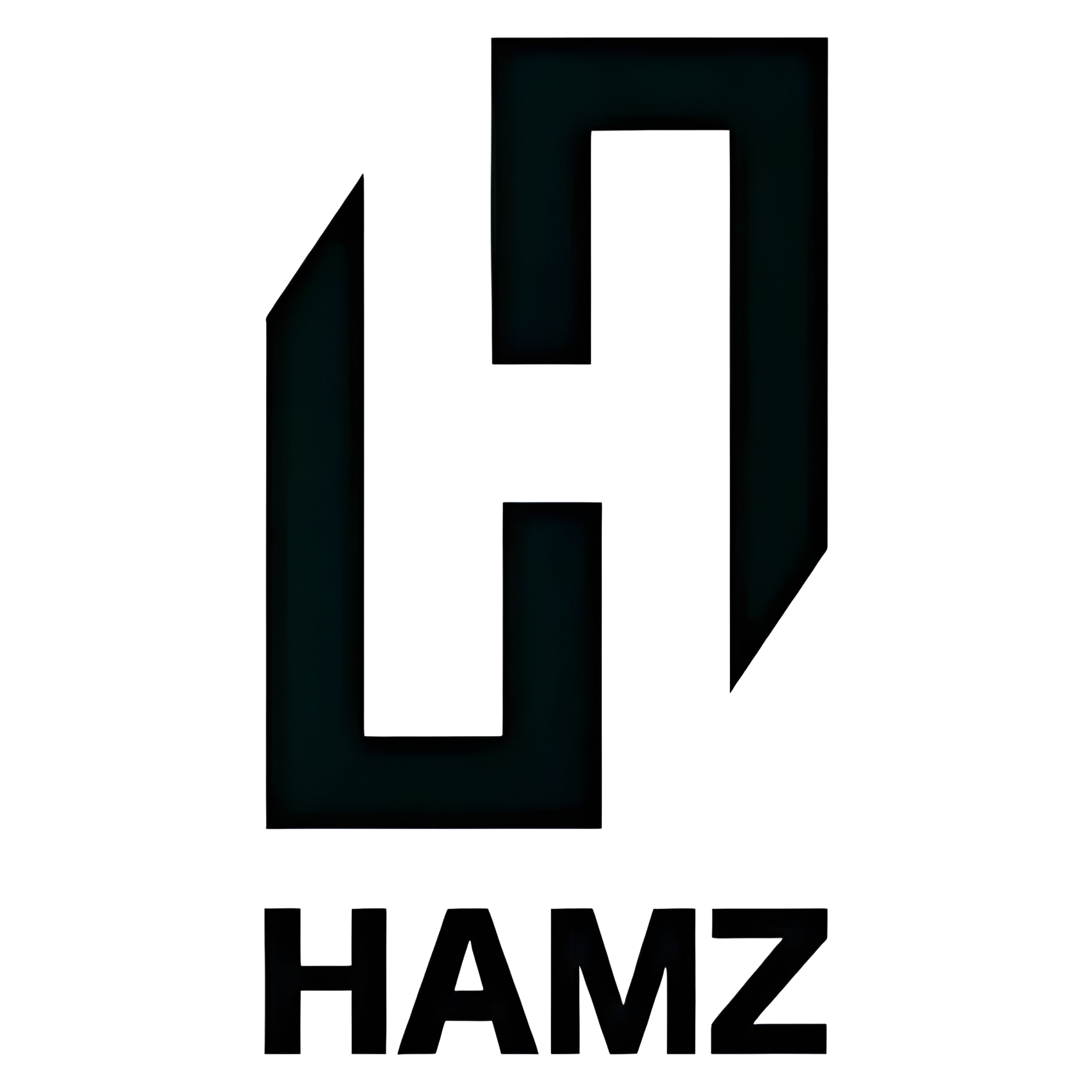 Hamz int. Real Estate LLC
